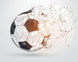 soccer ball wall art, wall decal